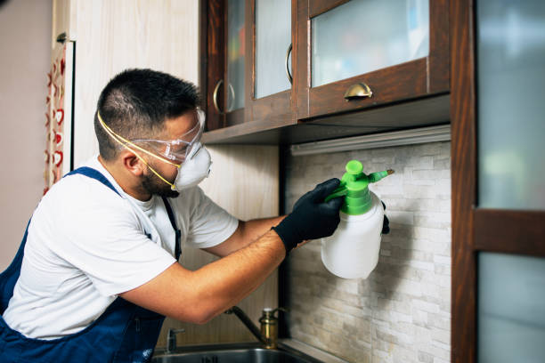 Best Wildlife Control Services  in Lauderdale, MN