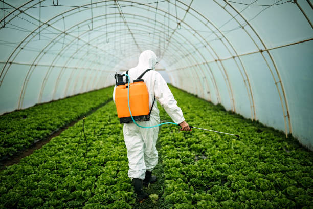 Best Pest Control Treatment  in Lauderdale, MN