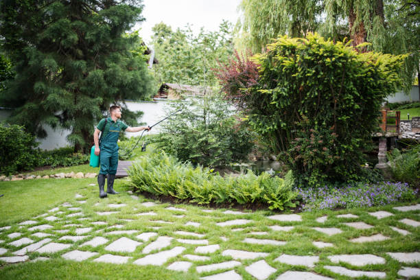 Best Pest Inspection Near Me  in Lauderdale, MN