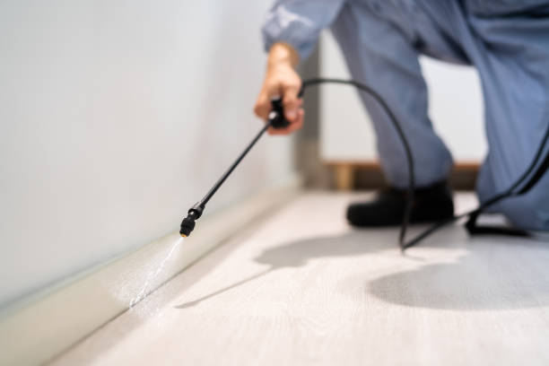 Flea Control Services in Lauderdale, MN