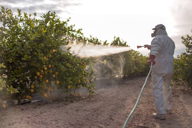 Pest Prevention Services in Lauderdale, MN