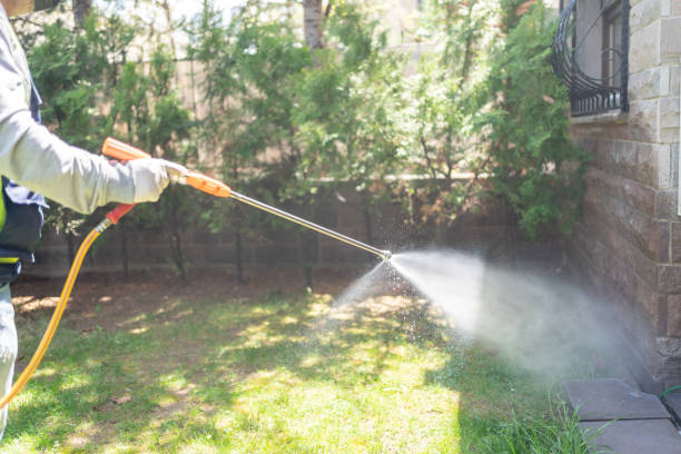 Trusted Lauderdale, MN Pest Control Experts
