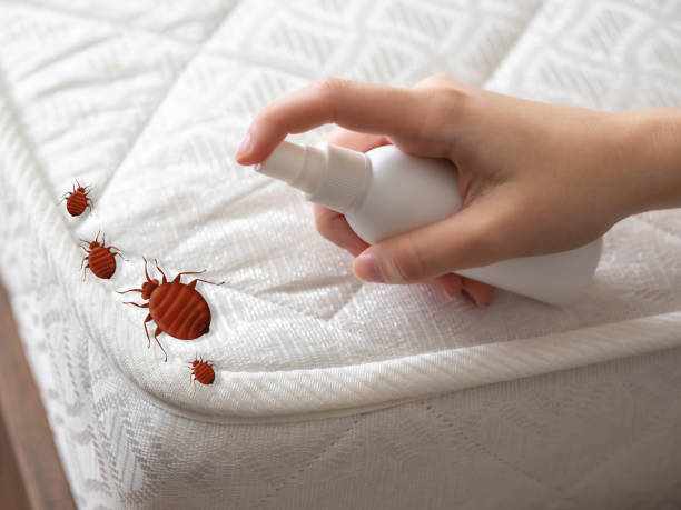 Best Pest Prevention Services  in Lauderdale, MN
