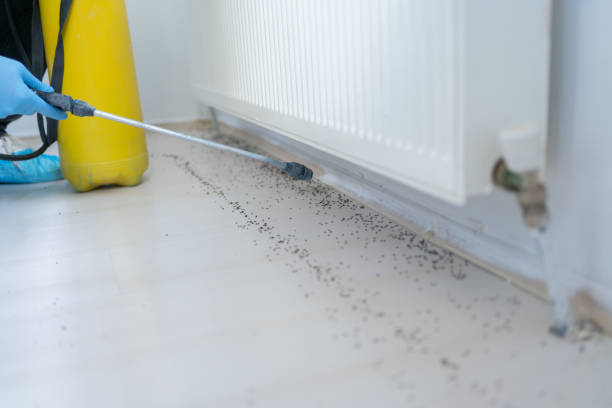 Best Best Pest Control Companies  in Lauderdale, MN