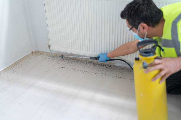 Best Wasp Removal Services  in Lauderdale, MN