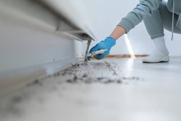 Reliable Lauderdale, MN Pest Control Solutions