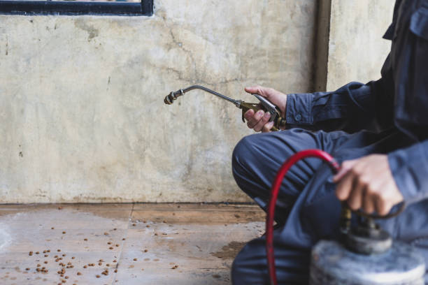 Best Pest Prevention Services  in Lauderdale, MN