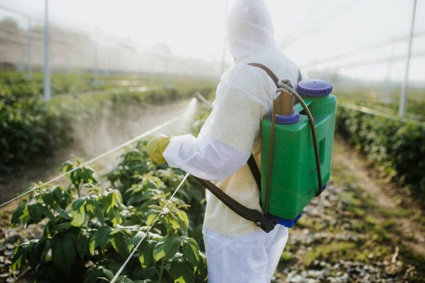 Best Exterminator Services  in Lauderdale, MN